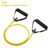 Resistance Bands (suitable Beginner)